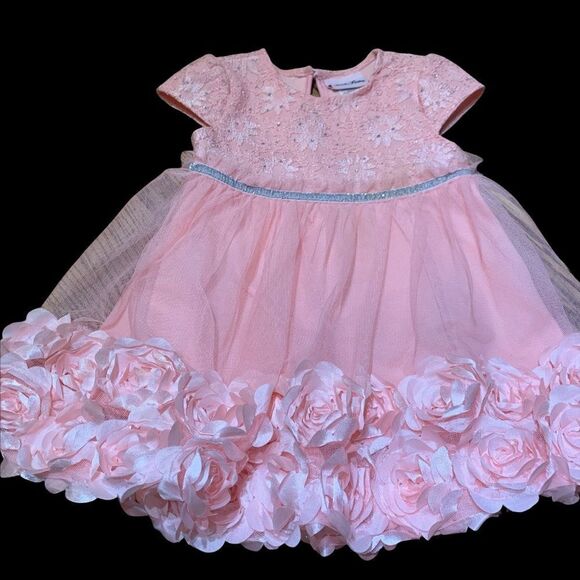 Little Lass Adorable Pink Floral Fancy Dress size 24 Months - Picture 8 of 12